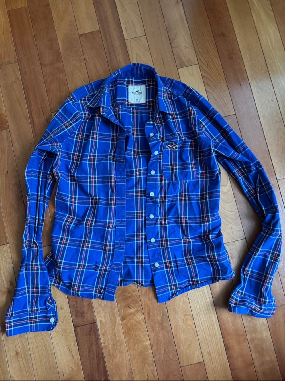 Hollister Blue Plaid Long-Sleeve Button-Down Shirt